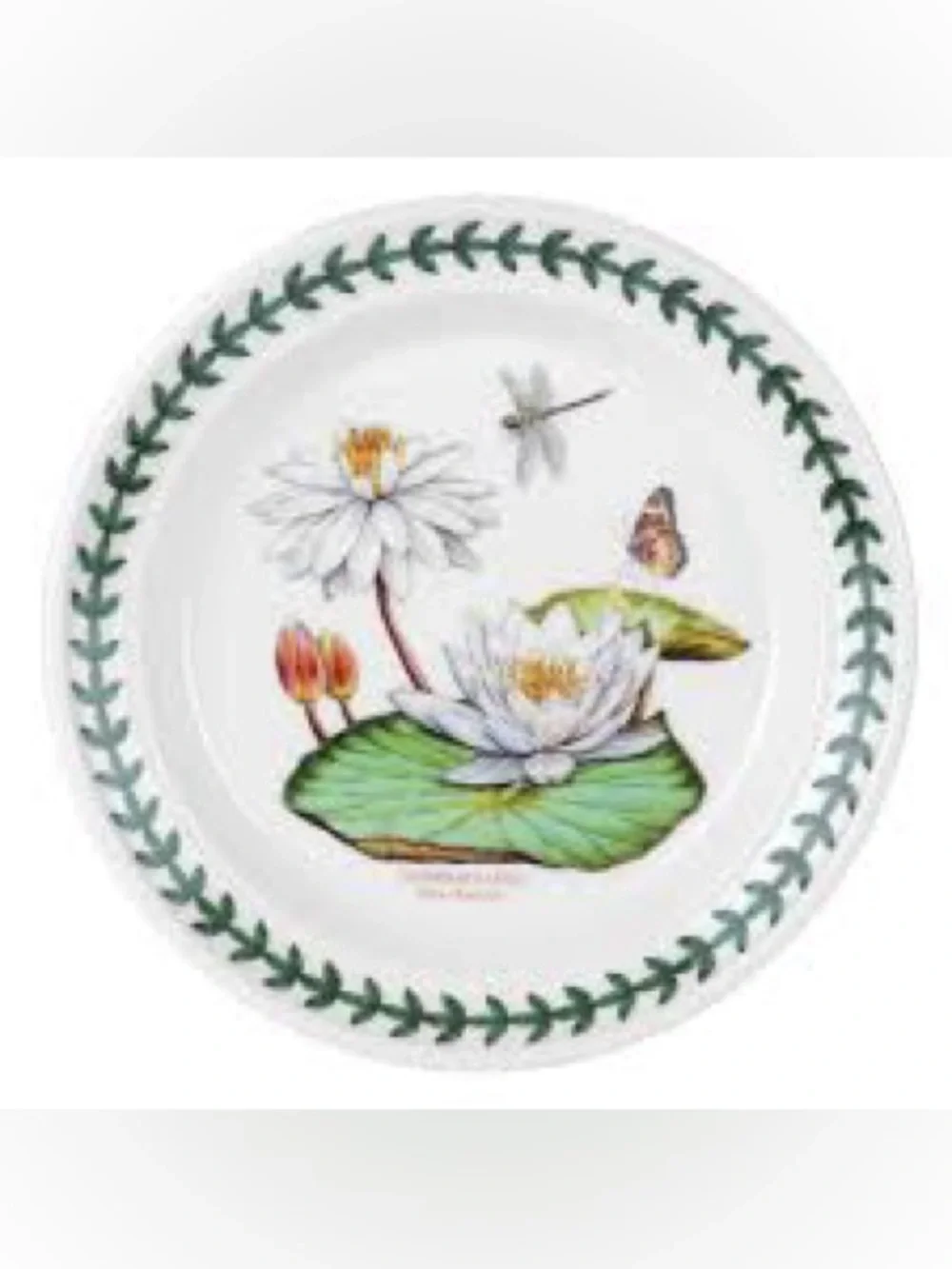 Botanic Garden Exotic Botanic Garden 10.5” Plate with White Water Lily Motif 2pc - Picture 1 of 12